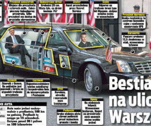 Bestia na ulicach Warszawy