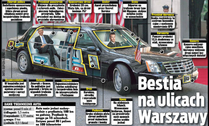 Bestia na ulicach Warszawy