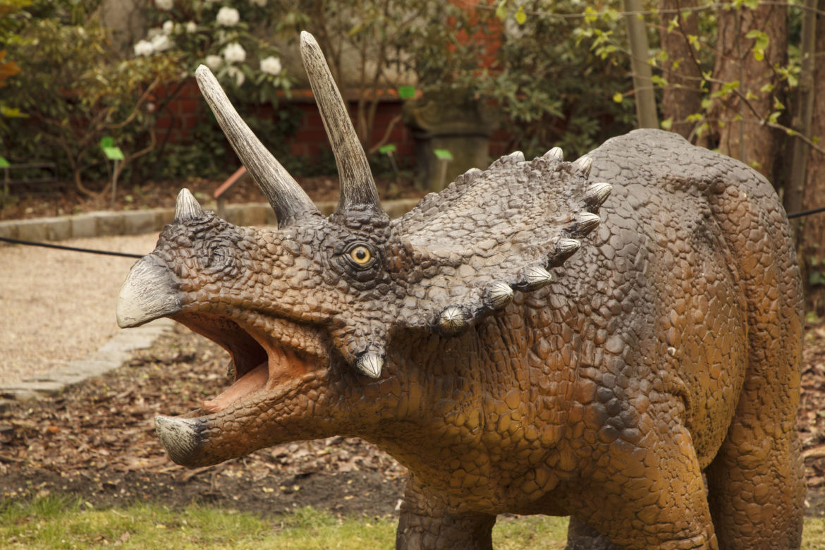 Dinozaury opanowały wrocławski ogród botaniczny