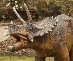 Dinozaury opanowały wrocławski ogród botaniczny