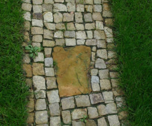 Ścieżka ogrodowa