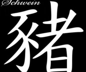 Świnia
