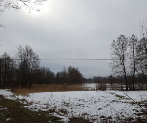 Łomżyński Park Krajobrazowy Doliny Narwi