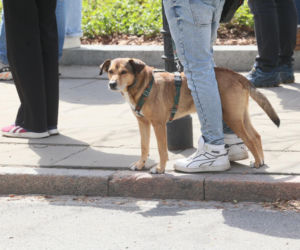 Poświęcił im swoją kampanię wyborczą. Przyszły na pogrzeb Łukasza Litewki. Oczy od razu się zaszkliły