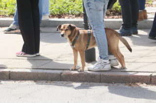 Poświęcił im swoją kampanię wyborczą. Przyszły na pogrzeb Łukasza Litewki. Oczy od razu się zaszkliły