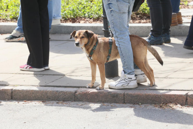 Poświęcił im swoją kampanię wyborczą. Przyszły na pogrzeb Łukasza Litewki. Oczy od razu się zaszkliły