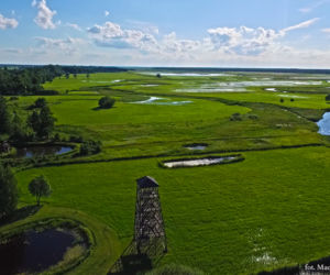 Biebrzański Park Narodowy