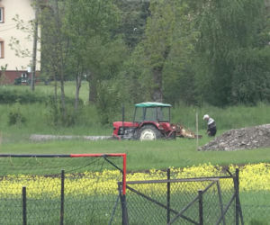 Niedźwiedzie coraz bliżej ludzi. Strach w Bieszczadach narasta: „Boimy się wyjść z domu”