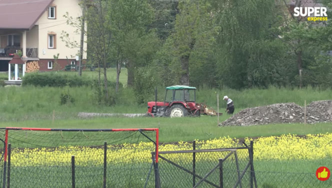 Niedźwiedzie coraz bliżej ludzi. Strach w Bieszczadach narasta: „Boimy się wyjść z domu”