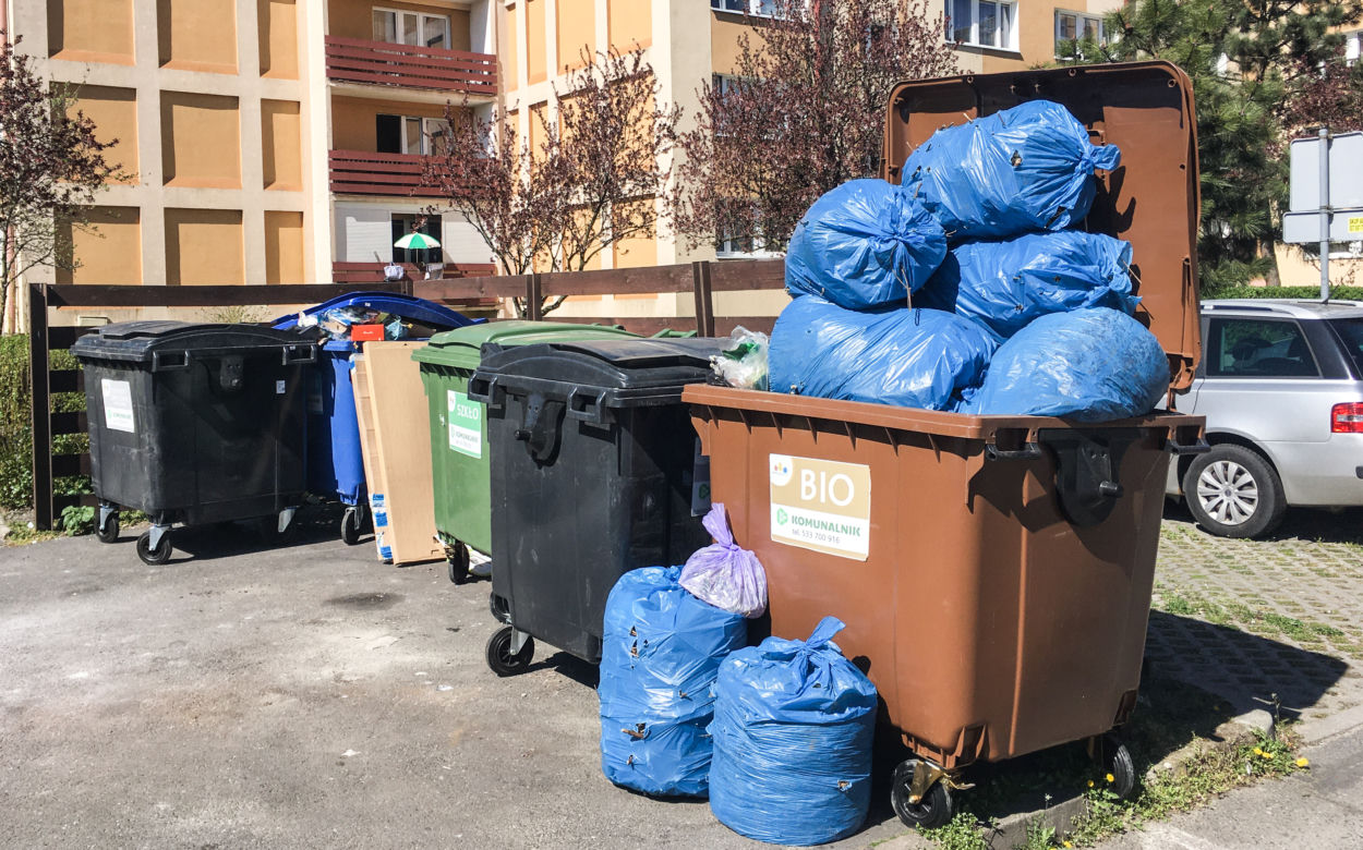 Bydgoszcz tonie w śmieciach. Będzie kolejna epidemia?