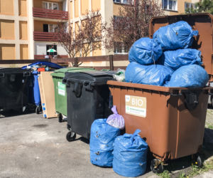 Bydgoszcz tonie w śmieciach. Będzie kolejna epidemia?