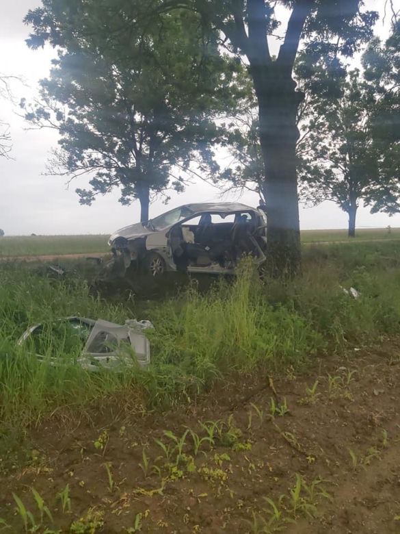 Jatwieź Duża. Wypadek: Kierowca renault rozbił się na drzewie [ZDJĘCIA]