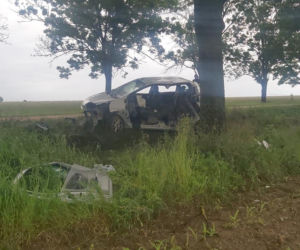 Jatwieź Duża. Wypadek: Kierowca renault rozbił się na drzewie [ZDJĘCIA]