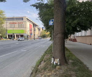 17-letnia Wiktoria zginęła w tragicznym wypadku BMW w centrum Lublina