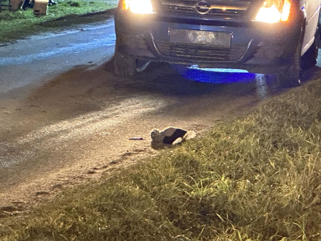 Horror pod Grodziskiem. 3-latek wbiegł wprost pod nadjeżdżające auto!