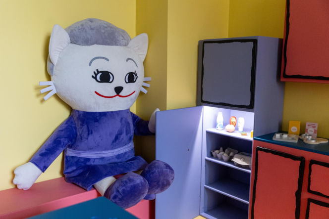 Pierwsze w Polsce muzeum Kici Koci