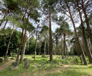 Kruszyniany - mizar, meczet, tradycyjna architektura i nieskalana przyroda