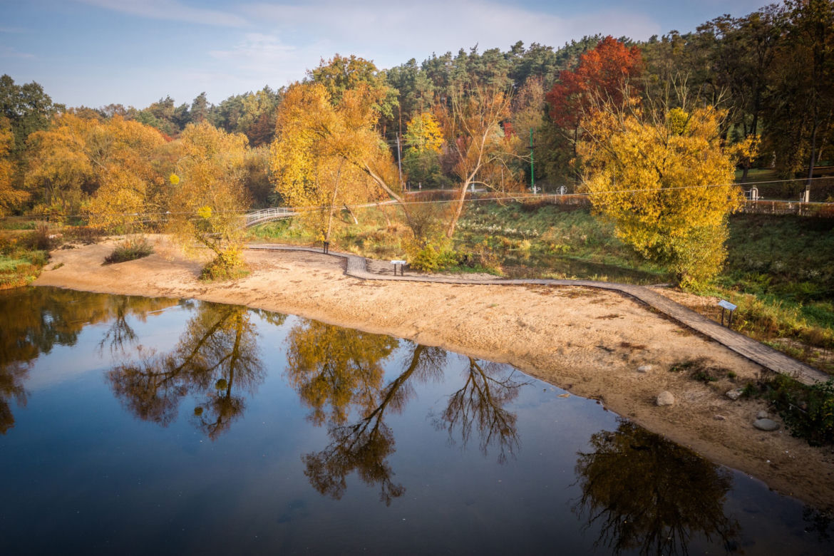 Park Dolina Wkry w Pomiechówku - spacer w koronach drzew, place zabaw, plaża