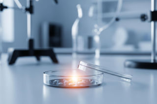 Pandemia może wrócić silniejsza. Czy jesteśmy gotowi na Chorobę X?