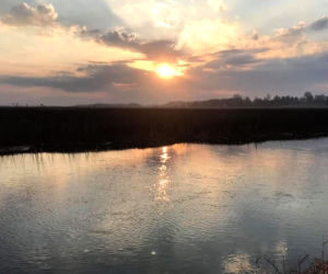 Strażackie nocne czuwanie i dogaszanie nad Biebrzą