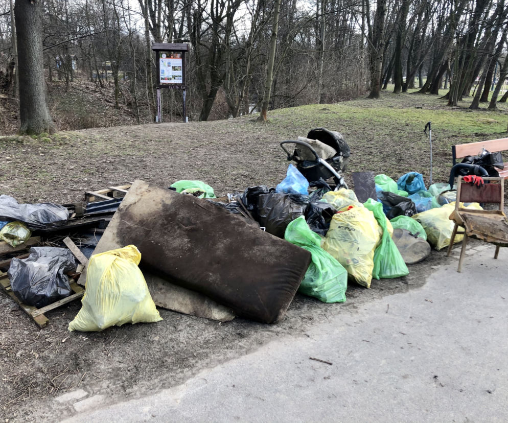 Dłubnia