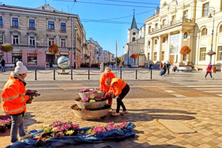 Lublin ma nowe kwiaty w donicach 