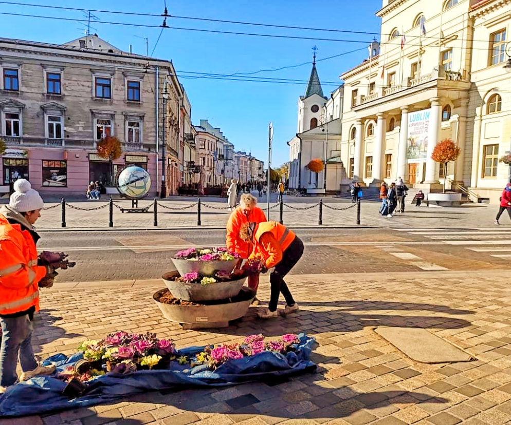 Lublin ma nowe kwiaty w donicach 