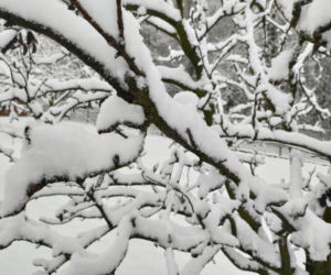 Pierwszy śnieg w regionie tarnowskim