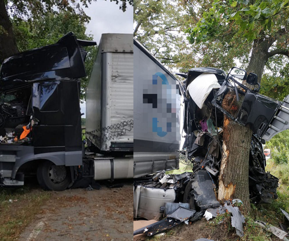 Uniknął wypadku i zawinął się na drzewie