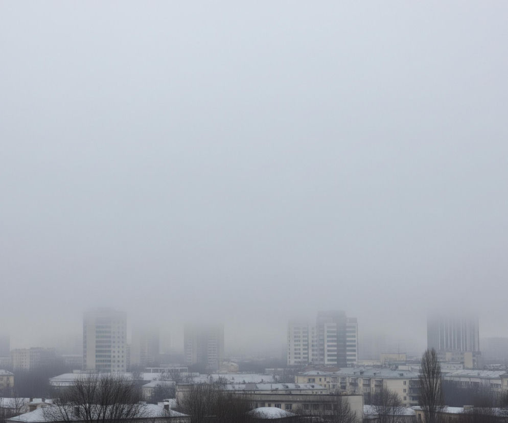 Na zdjęciu widoczna jest miejska panorama w gęstej, szarej mgle, która zasłania większość obrazu, rozciągając się od góry aż po połowę kadru. Poniżej, w dole obrazu, z mgły wyłaniają się zarysy budynków mieszkalnych i biurowców. Dachy niższych budynków pokryte są cienką warstwą śniegu, a liczne nagie drzewa z ciemnymi gałęziami tworzą linię horyzontu. W tle widoczne są niewyraźne, wysokie wieżowce, których górne partie znikają w mgle, tworząc wrażenie odrealnionego krajobrazu.