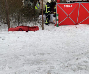 Śmiertelny wypadek w Lidzbarku. Bus uderzył w drzewo. Nie żyje młoda kobieta