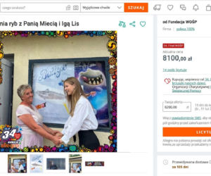 Najciekawsze aukcje gwiazd dla WOŚP. Sprawdź, co można wylicytować