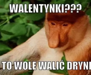 Memy na walentynki 2022 [GALERIA] 