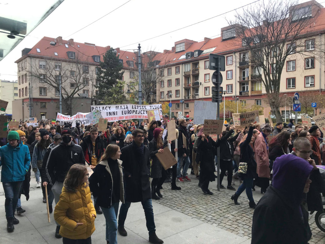 Manifestacja w obronie klimatu