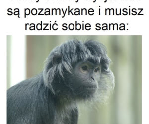Fryzjerzy kontra koronawirus. Te memy bawią do łez