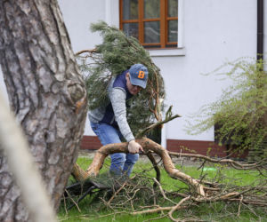 Michał Kamiński. Tytan ogrodnictwa 