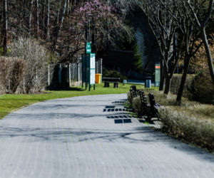 Koronawirus w Trójmieście. ZOO zamknięte na czas kwarantanny