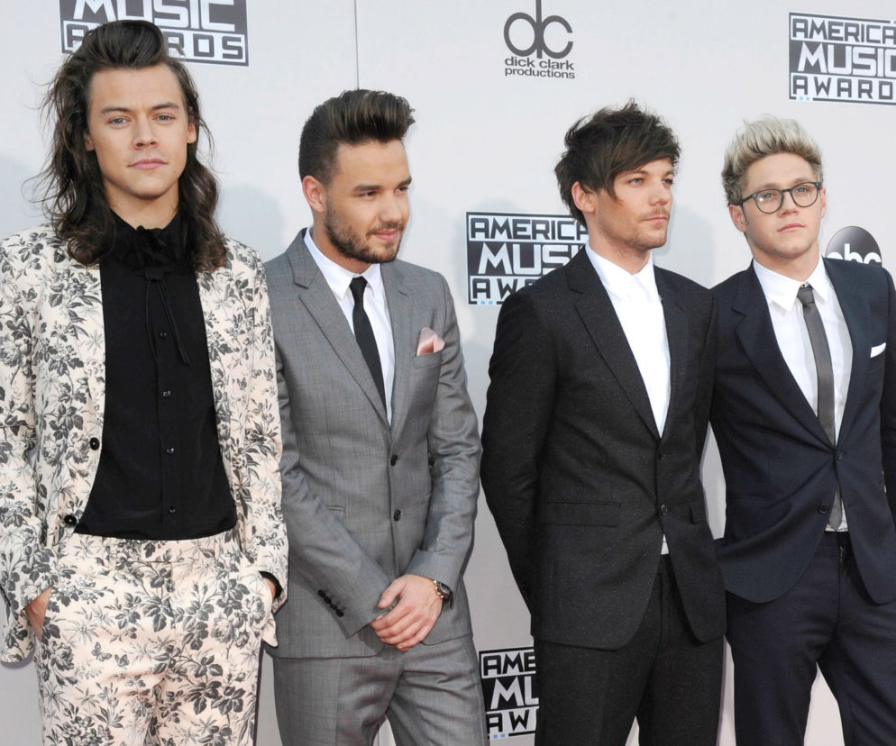 One Direction: Pół roku od rozstania. Co teraz robią?