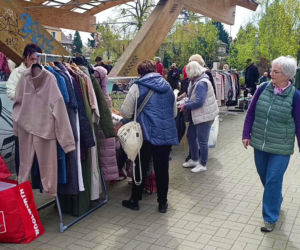 Pchli targ na Pogodnie