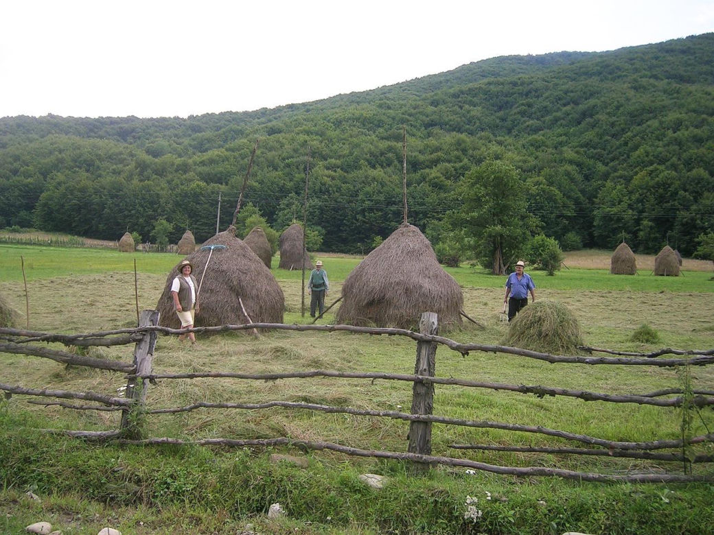 Serwituty