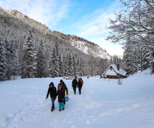 W Tatrach powstały spektakularne lodospady