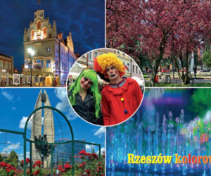 Rzeszów na pocztówkach