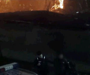 Spalił żywcem ponad 40 ptaków! 34-latek zatrzymany. Horror w Pabianicach