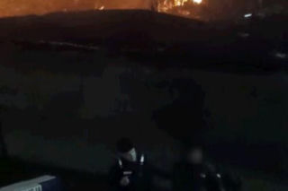 Spalił żywcem ponad 40 ptaków! 34-latek zatrzymany. Horror w Pabianicach