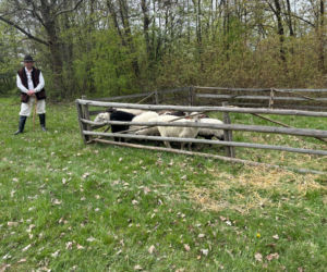 Otwarcie sezonu w Skansenie i Miasteczku Galicyjskim