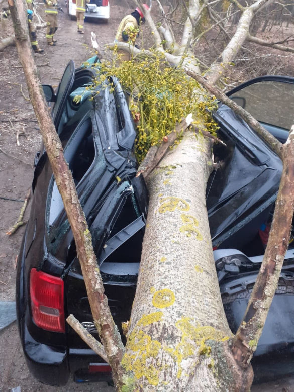 Trzcianka. Drzewo runęło na auto! Kierowca został ranny