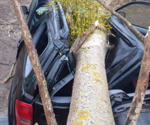 Trzcianka. Drzewo runęło na auto! Kierowca został ranny