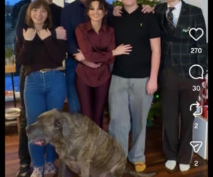 Jacek Rozenek - święta z żoną i synami