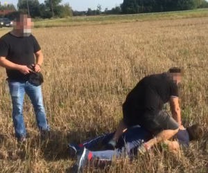 Ganiali się ze złodziejem po polu