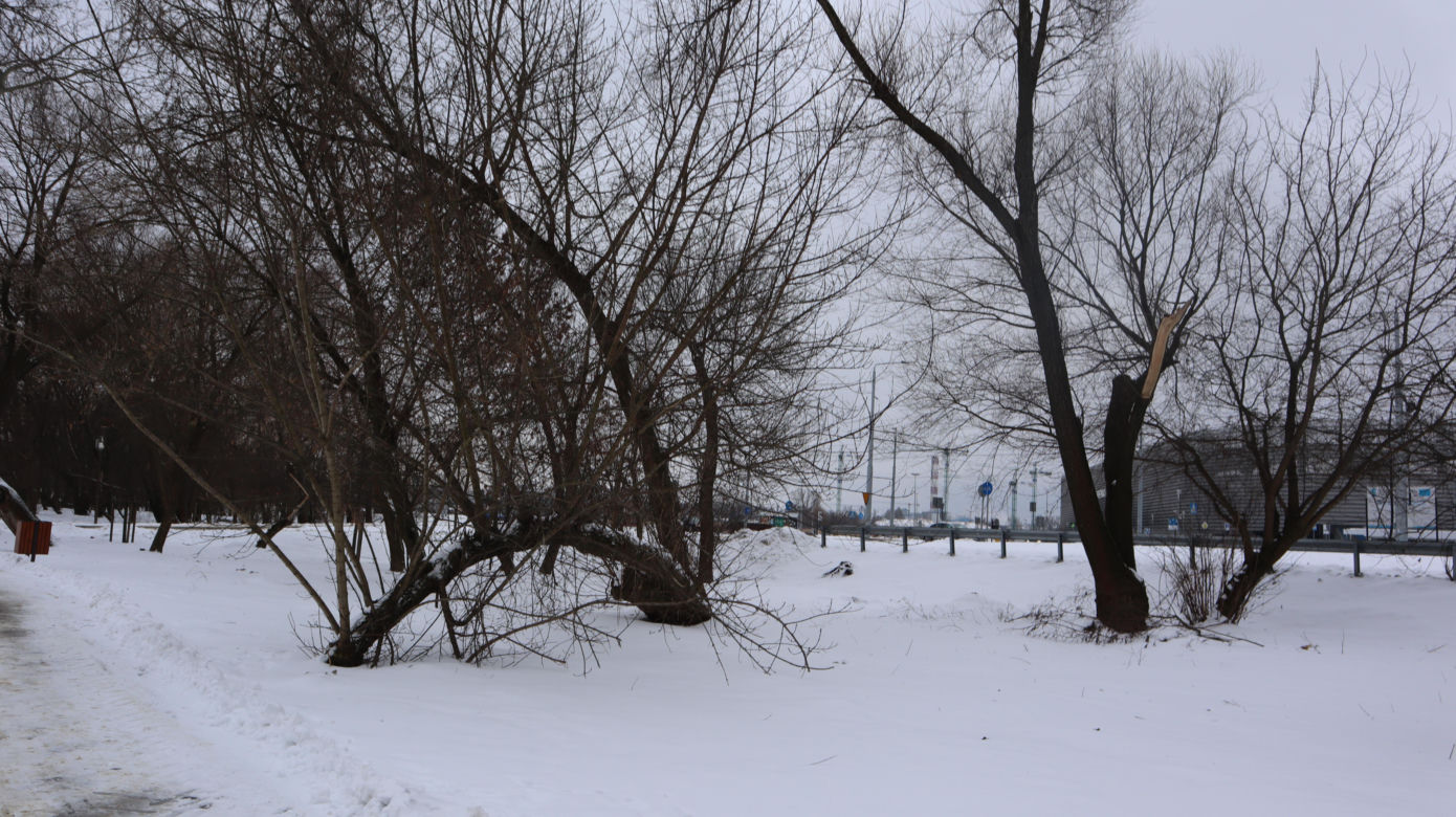 Park Ludowy 